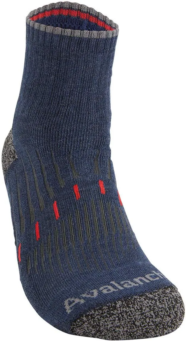 Avalanche Men's Blister Resistant Everyday Performance Quarter Socks 2-Pack